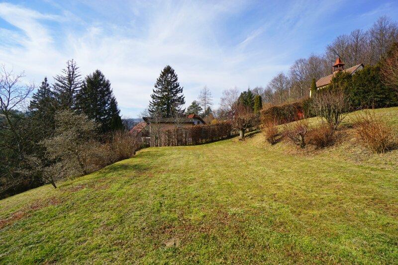 Grundstck 1497/50 nach Westen