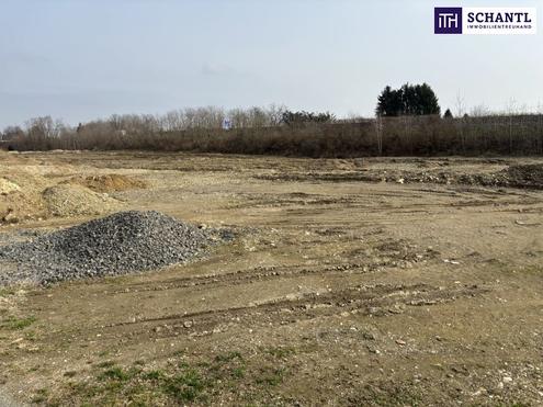 ++ LAGE, LAGE ++ GEWERBEGRUNDSTCK an der A9 AUTOBAHNABFAHRT bzw. -AUFFAHRT ST. VEIT VOGAU ++  TEILUNG MGLICH ++  BD KG 0,2 - 1,0