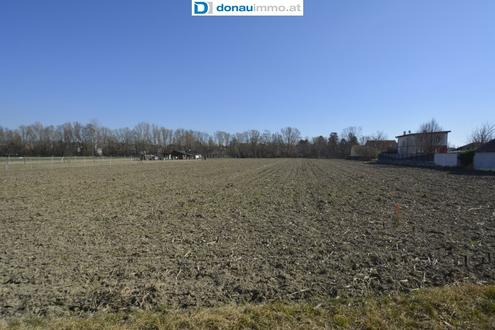 Traumhaftes prchtiges Grundstck in Growiesendorf: 971m