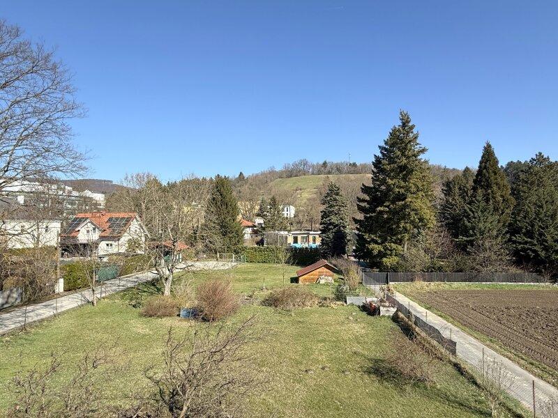 Ausblick Richtung Garten