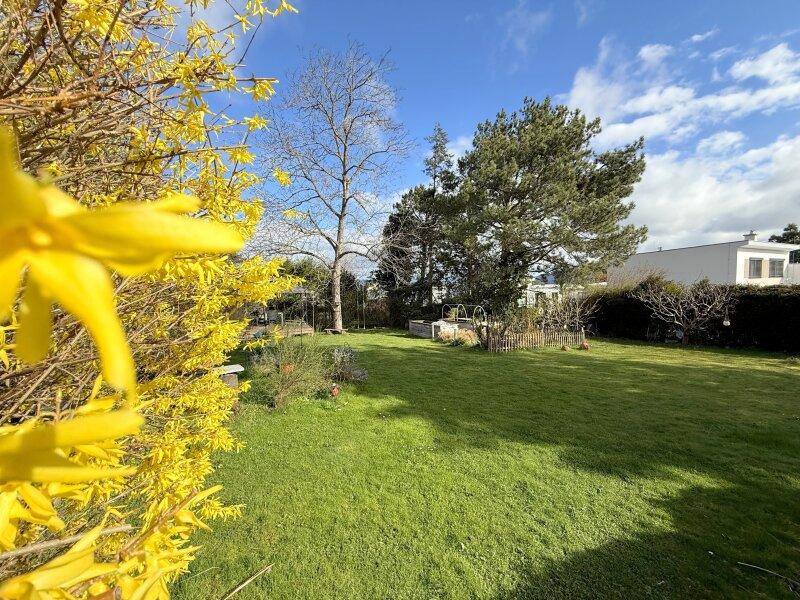 Frhling im Garten