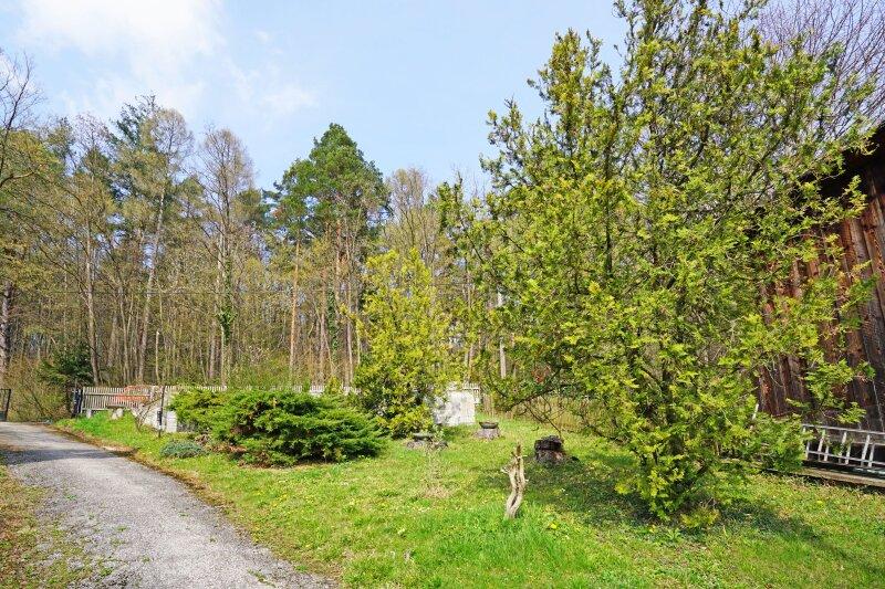 Vorgarten