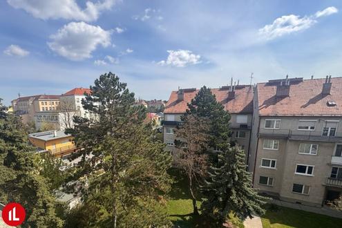 Zentrale Dachgeschoßwohnung mit Freifläche am Hauptplatz Schwechat - Modernisierung nach Wunsch!