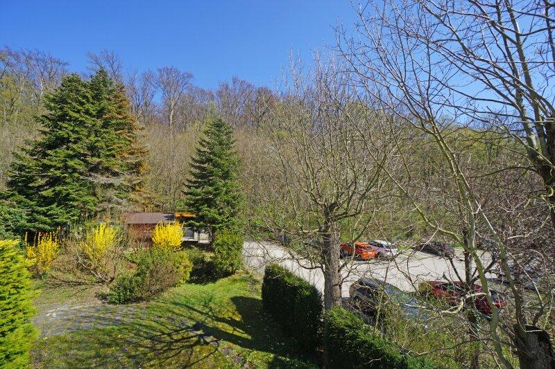 Dachterrasse_Ausblick Garten und Wienerwald