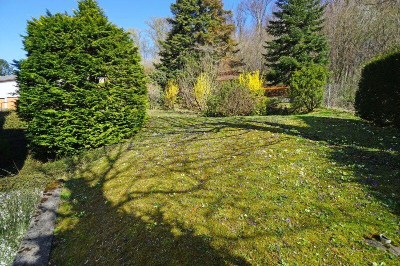 Garten mit Blumenwiese