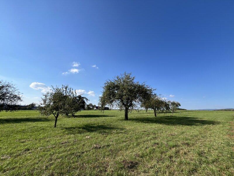 Nachbargrundstck Welgersdorf