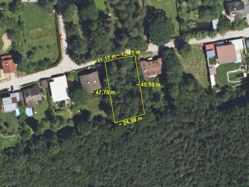 Lage in der Natur, Grundstck ist mittlerweile gerodet