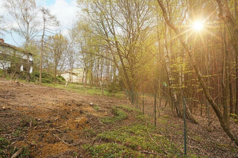 entlang der s�dlichen Grundgrenze nach Osten