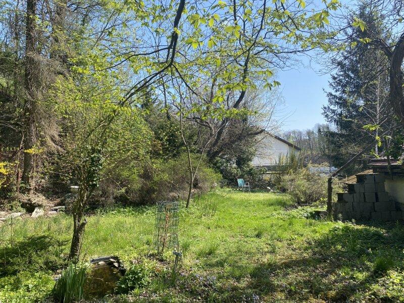 Hinterer Garten