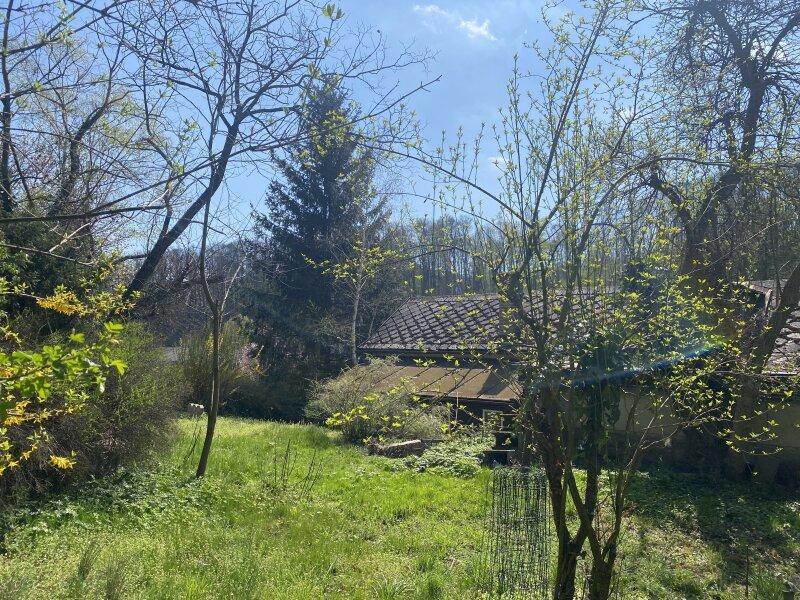 Garten Rckseite