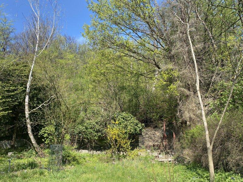Hier fngt der Wald an