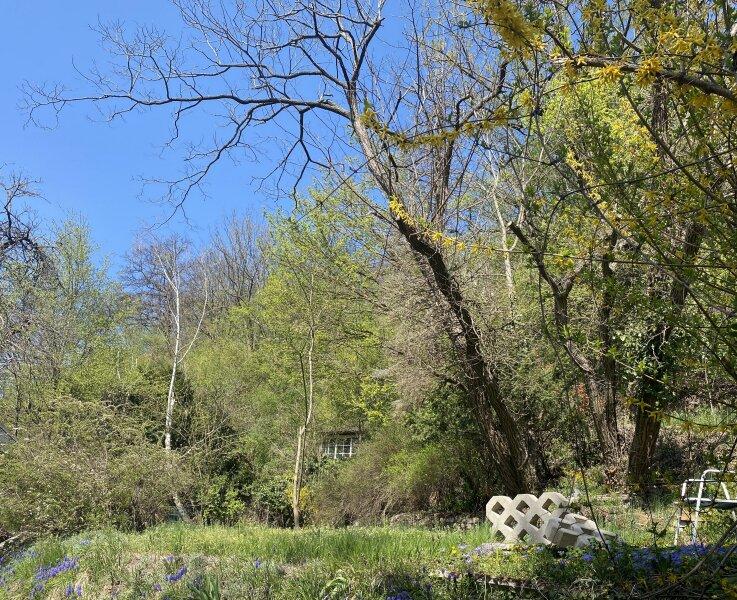 Oberer Garten