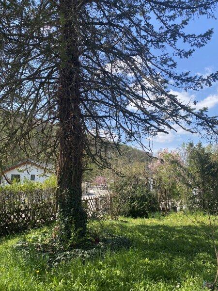 Weitblick