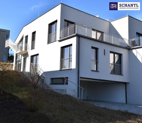 Exklusive Doppelhaushälfte in den Weinbergen - Höchste Energieeffizienz mit Erdwärmeheizung für modernes Wohnen und Genießen!