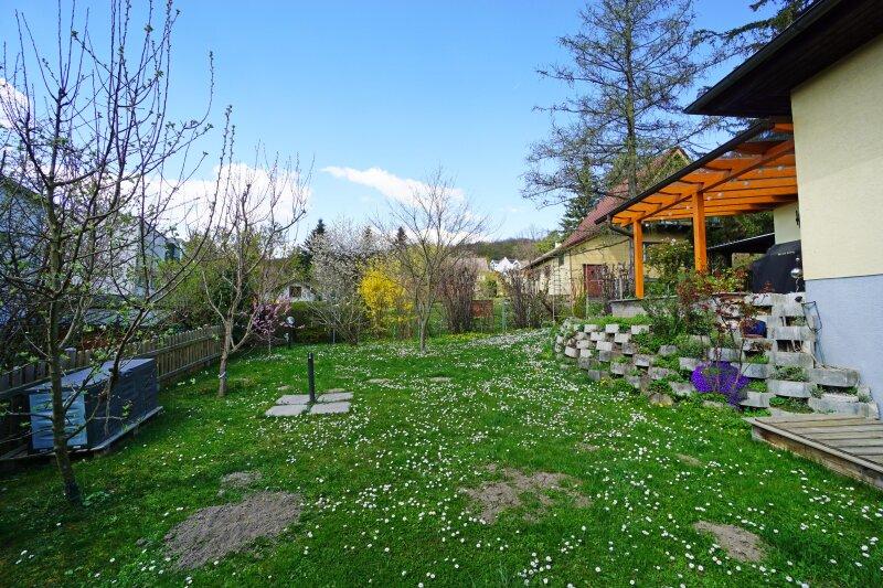 Garten Richtung Nordwesten