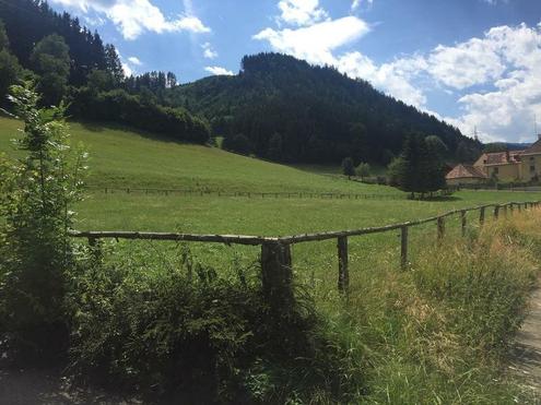 ++ 1.400 m  Gewerbe - Betriebsbaugrund-, Garagengrundstck ++