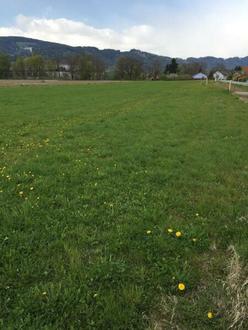 ** Baugrund in Weikirchen - 1.959 m in Top Lage ++
