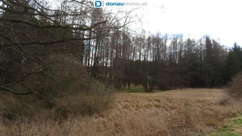 3902 Eschenau. Grundstck mit kl. Bachlauf