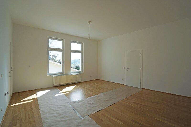 Wohnzimmer mit Kchenanschlssen