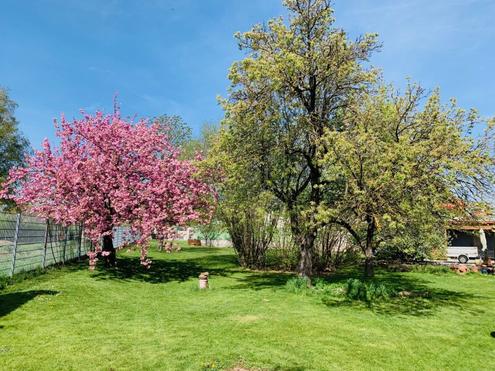 Haus mit traumhaftem Garten in Lanzendorf | 6 Zimmer, 4 Autostellplätze | Auch als Mehrfamilienhaus nutzbar | Am Naherholungsgebiet Zayawiesen