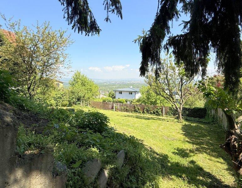 Sonniger Garten