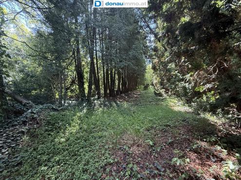 RESERVIERT - Baugrundstck mit Hausbestand Nhe Wien (35 min Stadtgrenze)