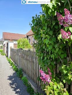 Rustikales Bauernhaus mit Charme wartet auf Ihre Ideen!