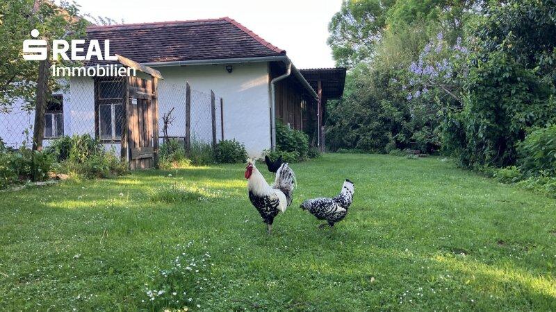 Am Morgen, erste Tour.....