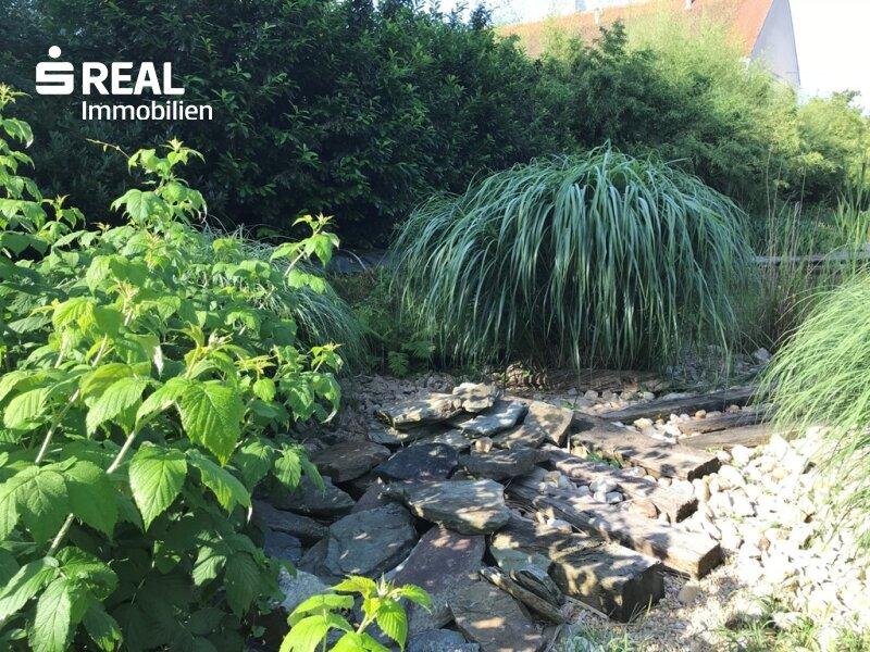 um den Teich....