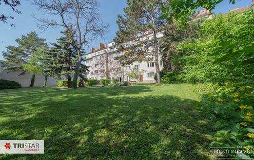 NEU in 2320 Schwechat++Charmante 3-Zimmer-Neubauwohnung im Herzen von Schwechat - Ideal für Eigennutzer & Anleger  + Gepflegt & sofort bezugsbereit | Perfekte Lage nahe dem Wiener Flughafen