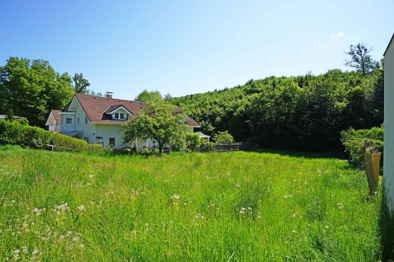 Blick nach Osten Richtung Wald