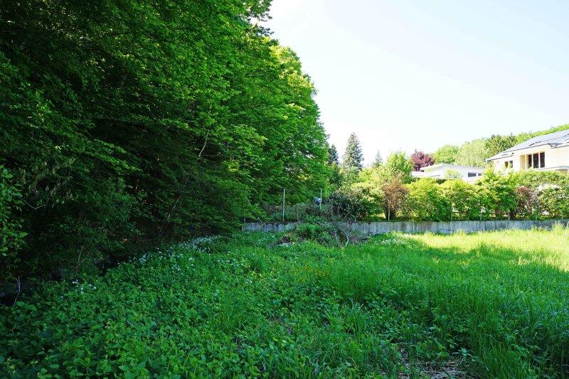 stliche Grundgrenze Richtung Wald