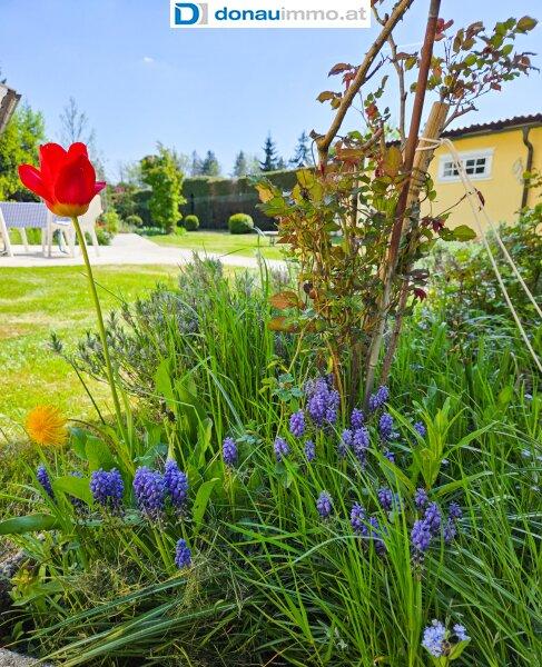 Grozgiges Haus mit Garten im Waldviertel