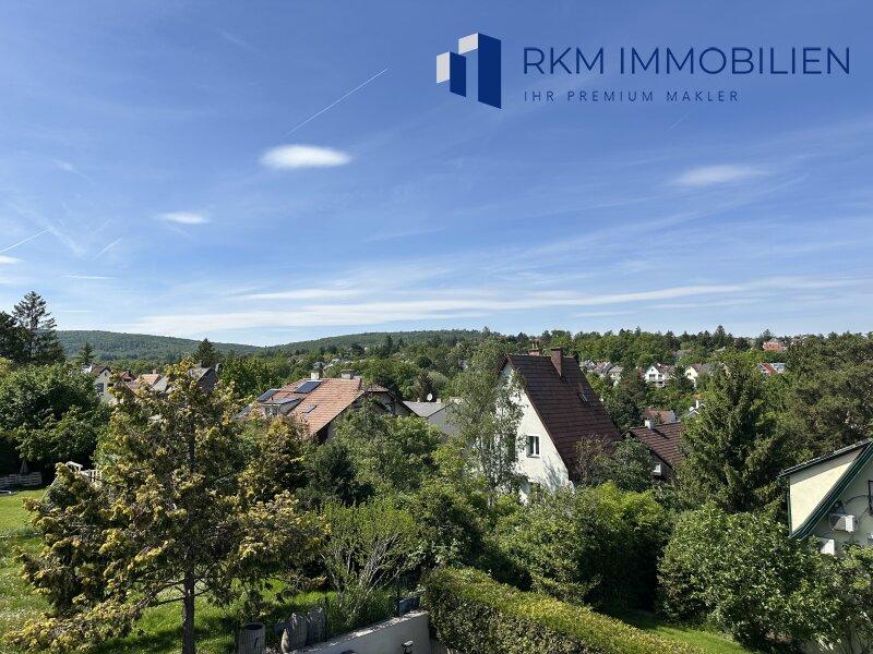 Ausblick