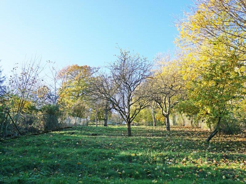 Garten vom Haus bergauf nach Sdwesten