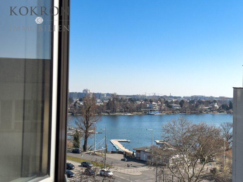 seitlicher Donaublick