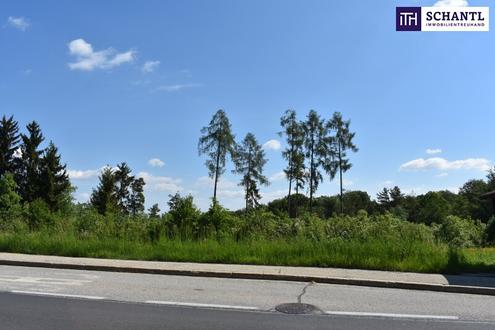 Wunderbares Bautrgergrundstck in Bestlage Nhe 8301 Lanitzhhe