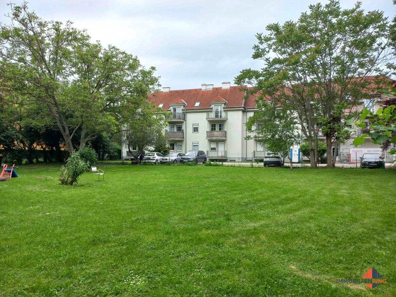 Auenansicht