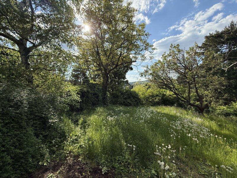 Nur Natur