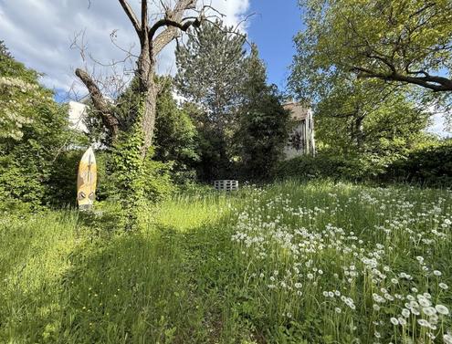 Wo Stadtmenschen Wurzeln schlagen - Gartenidylle zum Pachten!