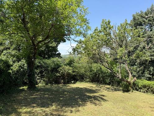Wo Stadtmenschen Wurzeln schlagen - Gartenidylle zum Pachten!