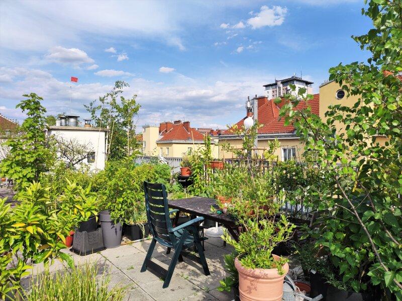 Gemeinschaftsdachterrasse
