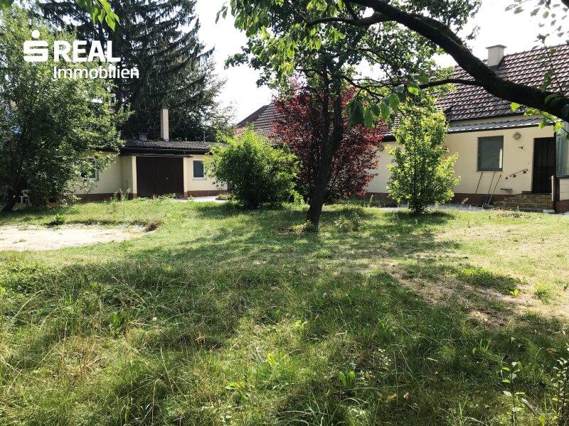 Garten 1