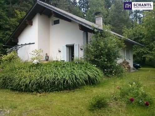 Sommerglck am Turnersee - Charmantes Ferienhaus Emma in ruhiger Waldrandlage mit groem Garten & Ausbaupotenzial