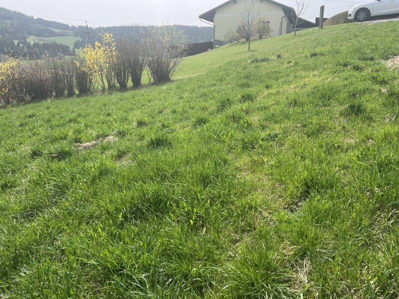 Ansicht Grundstck