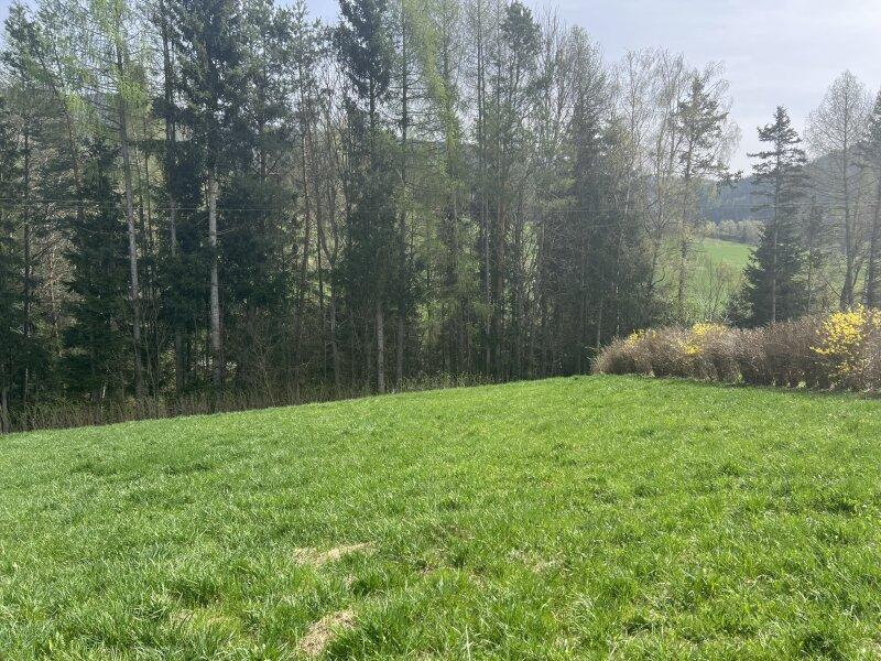Ansicht Grundstck