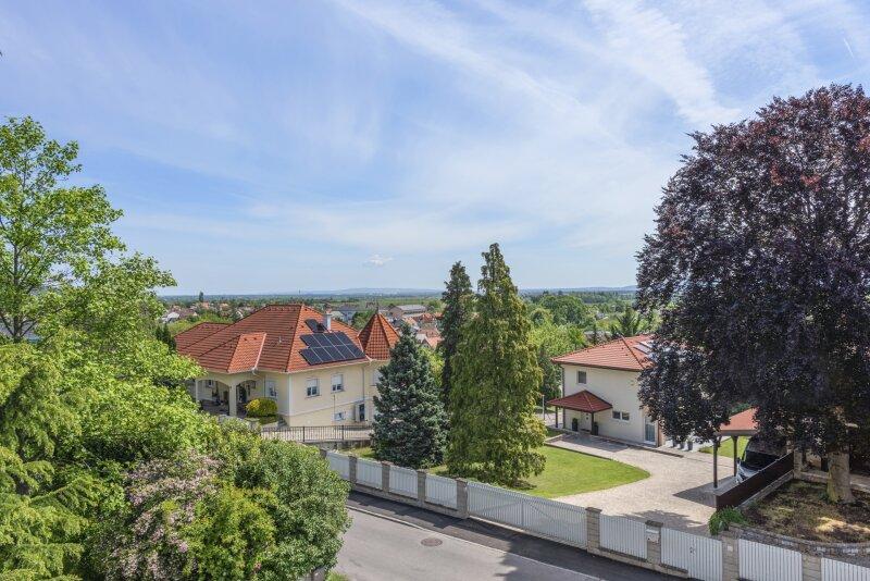 Fernblick