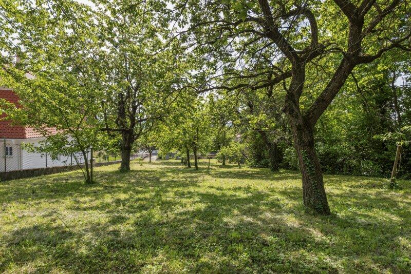 Obstgarten