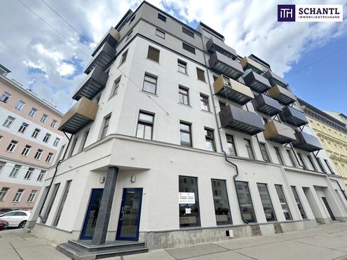 Lässige Stadtwohnung mit ruhigem Schlafzimmer im Innenhof! Top Preis!