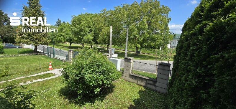 Garten 3